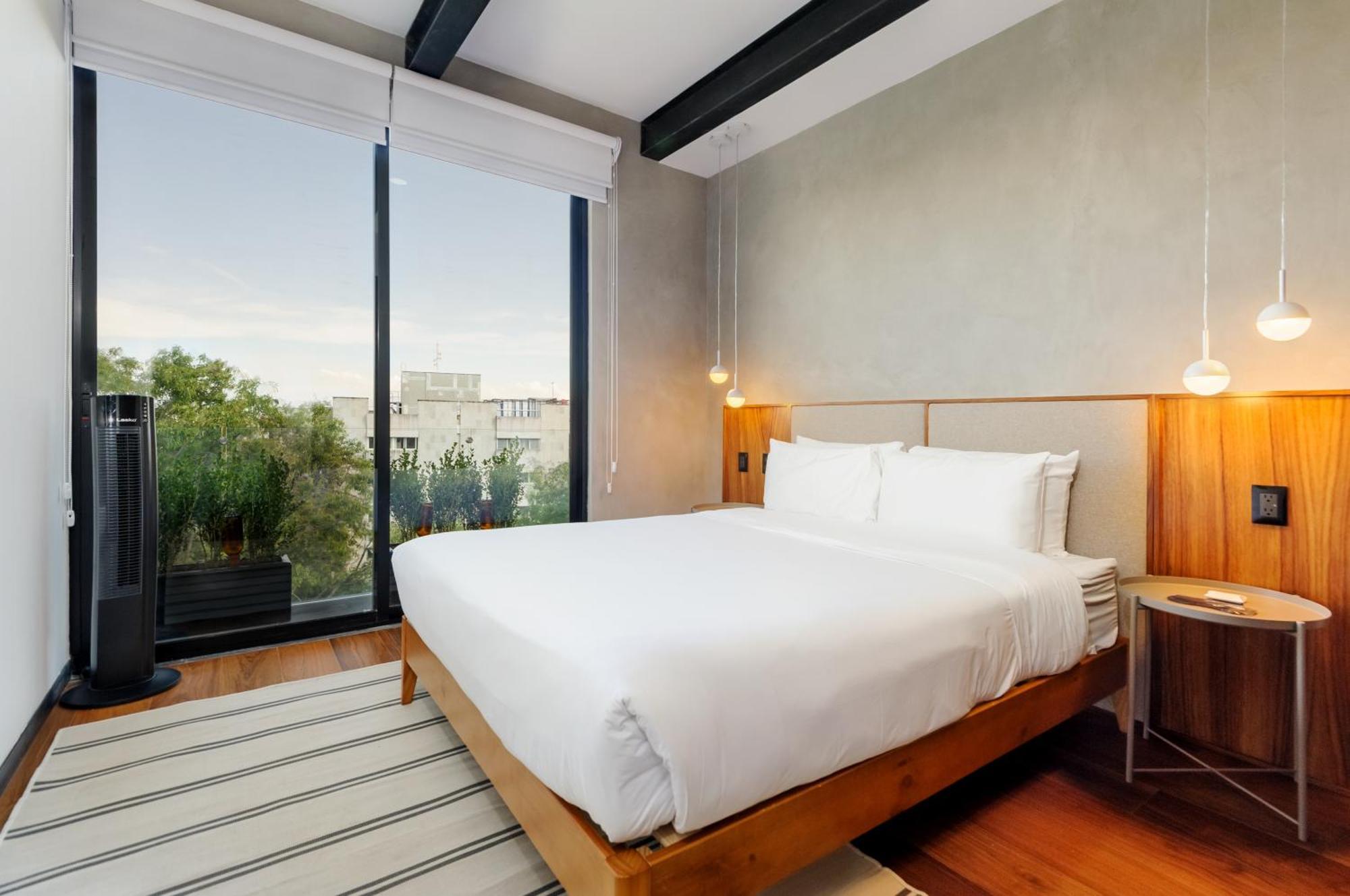 Zacatecas 4 By Wynwood House * Mexico City